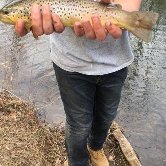 Meet your Posher, Garret - Picture 1 of 1